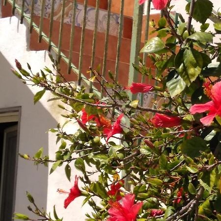 Casale Hibiscus Villa Santa Maria Del Focallo Exterior photo